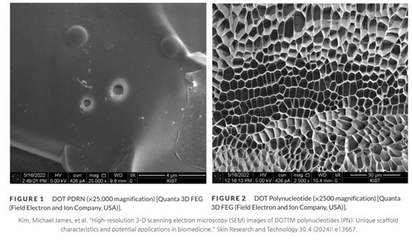 탈모 DNA 주사 | 두피 진단 기반 1:1 맞춤 탈모 치료 | 강남 탈모 치료
